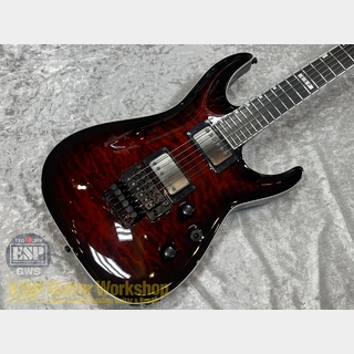 E-II HORIZON FR-II 【See Thru Black Cherry Sunburst】