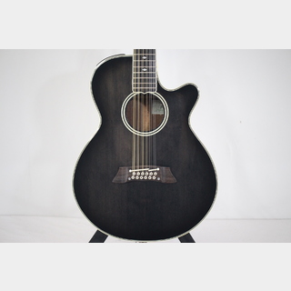 Takamine NPT-110-12