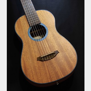 アコースティックギター、パーフェロー OR PauFerroの検索結果
