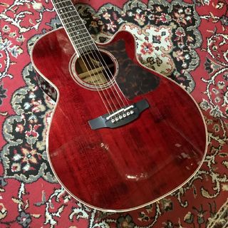 Takamine DMP50S WR エレアコギター 【アウトレット現物画像】【島村楽器 x Takamine コラボモデル】