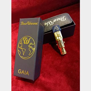 Theo Wanne GAIA 4 METAL 7 アルトサックス【現物画像】【島村楽器奈良店】