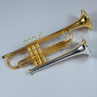 Stomvi Combi【技術スタッフ常駐店 / 当店技術スタッフ調整済】【管楽器購入後サポート付】【現物画像】