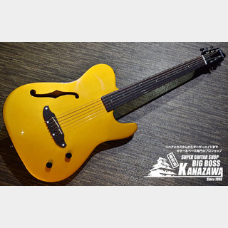 SCHECTER Oriental Line OL-FL-P【限定カラー!!エレキギター感覚のエレアコ!】