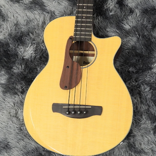 Ibanez AEGB30E-NTG (Natural High Gloss Top, Satin back and sides) 【特価】【エレアコベース】