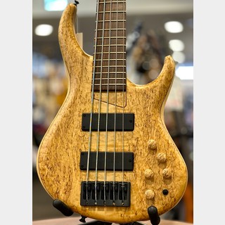 MTD 535-24 10 top Masur birch【2024 NAMM Model!】【激杢!】【4.39kg】【#3818】