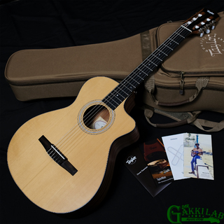 エレクトリック・アコースティックギターの検索結果【楽器検索デジマート】