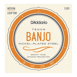 D'Addario ダダリオ EJ63 Tenor Banjo Nickel Plated 9-30 テナーバンジョー弦