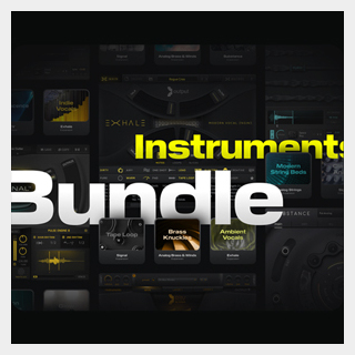 output INSTRUMENT BUNDLE