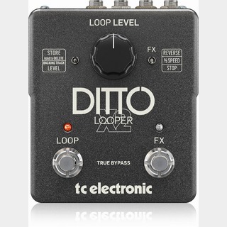 tc electronic Ditto X2 Looper ルーパー【WEBSHOP】