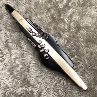 Roland 【中古】AE-20SC【島村楽器限定ゴールドカラーモデル】【Ver.1.22】