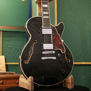 D'Angelico、Premier SS Stairstepの検索結果【楽器検索デジマート】