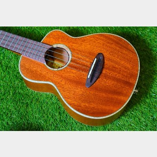 aNueNue UC110E GREEN BIRD Concert