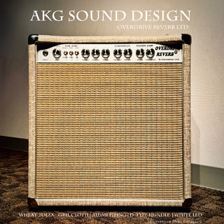 AKG Sound Design Limited. Overdrive Reverb Combo Amp 22W 12" Speaker 【未展示在庫 - 有り | 送料無料!】