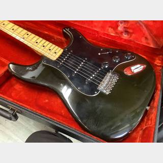 エレクトリックギター ＞ STタイプ、Fender、Stratocasterの検索
