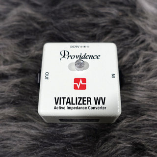 Providence VITALIZER WV