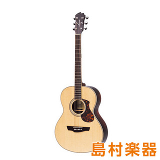 JamesJ-1000A/Pau ナチュラル アコースティックギター