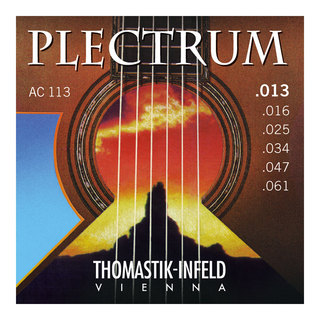 Thomastik-InfeldAC113 Prectrum Acoustic Series 13-61 アコースティックギター弦×6セット