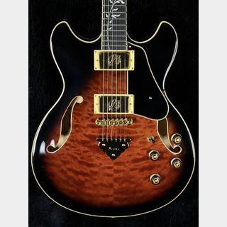 エレクトリックギター ＞ セミアコ、Ibanezの検索結果【楽器検索