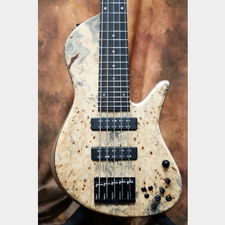 Inuyama Guitar Factoryの検索結果【楽器検索デジマート】