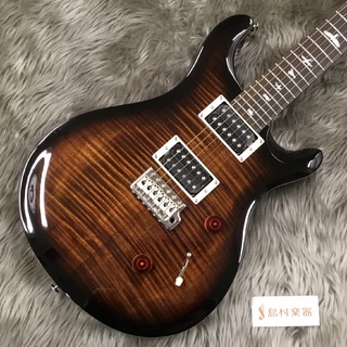 Paul Reed Smith(PRS) SE CUSTOM 24 エレキギター