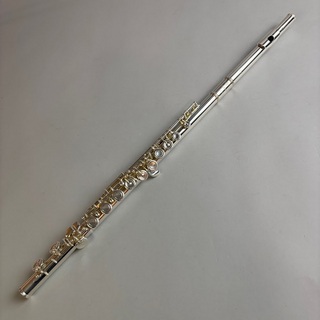 AZUMIの検索結果【楽器検索デジマート】