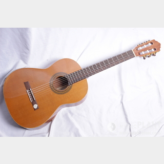 クラシック・ギター／フラメンコ・ギター、Hofnerの検索結果【楽器検索