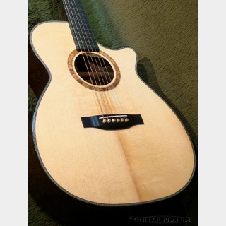 アコースティックギター／エレクトリック・アコースティックギター