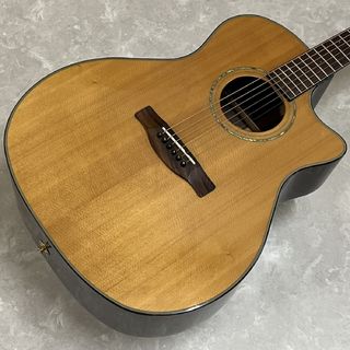 Fender GA45SCE 【現物画像】
