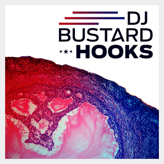 DIGINOIZ DJ BUSTARD HOOKS