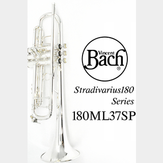 Bach Stradivarius トランペット 180ML37SPの検索結果【楽器検索