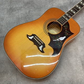 Epiphone Dove PRO