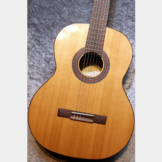 Orpheus Valley Guitars 【小物6点サービス!】Fiesta F65C 杉 / ローズウッド【】【現物写真】【池袋店在庫品】