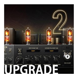 Positive GridUpgrade From BIAS AMP Professional to BIAS AMP 2 Professional 【オンライン納品専用】【代引不可】