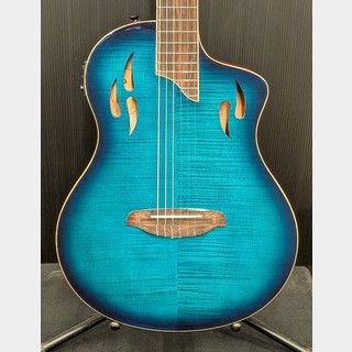 エレガットギターの検索結果【楽器検索デジマート】