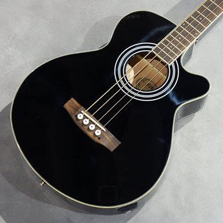 アコースティック・ベース／エレアコ・ベースの検索結果【楽器検索