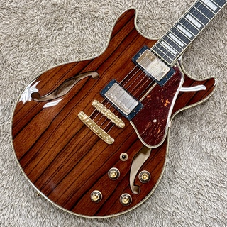 Ibaneze セミアコ　【超美品】 エレキギター】セミアコタイプラインナップ【セレオ国分寺店