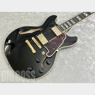 D'Angelico Excel Mini DC Black