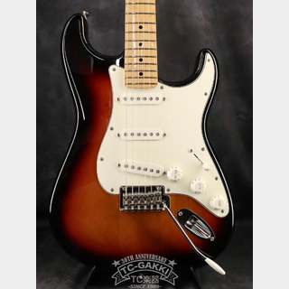 Fender 2017 Player Stratocaster