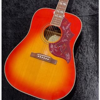 アコースティックギター／エレクトリック・アコースティックギター