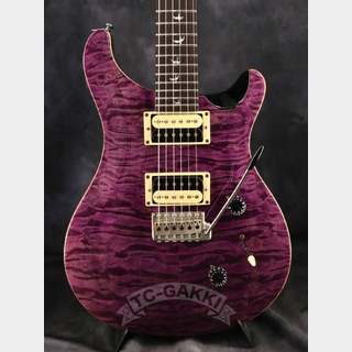 Paul Reed Smith(PRS) 2015 Limited 30th Anniversary SE Custom 24