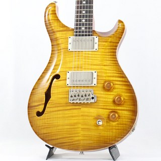 Paul Reed Smith(PRS) DGT Semi-Hollow Limited Edition (McCarty Sunburst) [SN.0391529]