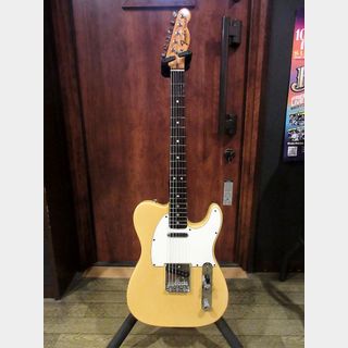 Guitar Licks（ギターリックス） （大阪府・大阪市西区） 【楽器