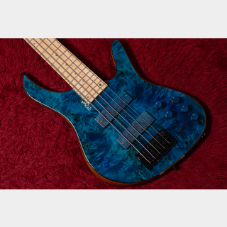 D'mark Guitars ALPHA 5 Special Reserve Series Blue Pioppo 3.985kg #25C0005【GIB横浜】