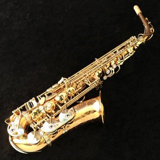 YANAGISAWA Alto A-902 Bronze  アルトサックス 【御茶ノ水本店】