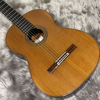 横尾 俊佑 POEM 50 C