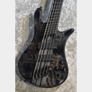 Spector NS Dimension MS 5 Gloss EE -TBK-【#W240253】【4.35kg】