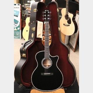 Martin、SUGIZO 41の検索結果【楽器検索デジマート】