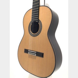 ASTURIAS CUSTOM C(630)