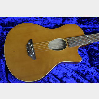 アコースティックギター／エレクトリック・アコースティックギター