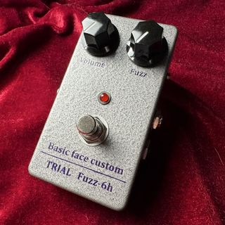 TRIAL Fuzz-6h